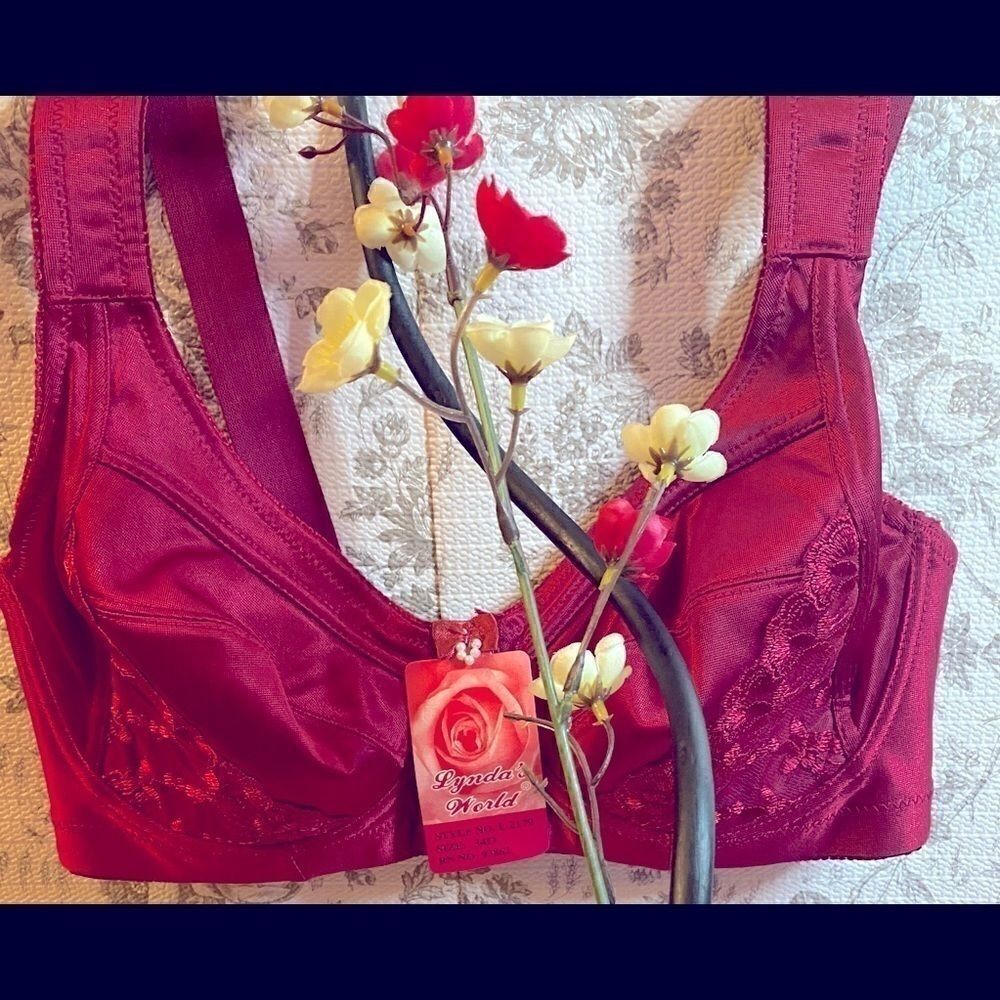 🥀Lynda’s world women’s embroidery fashion Bra